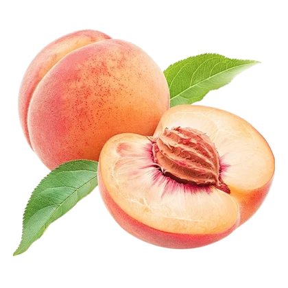 afa-cm-ingredient-02 afa-cm-ingredient-02